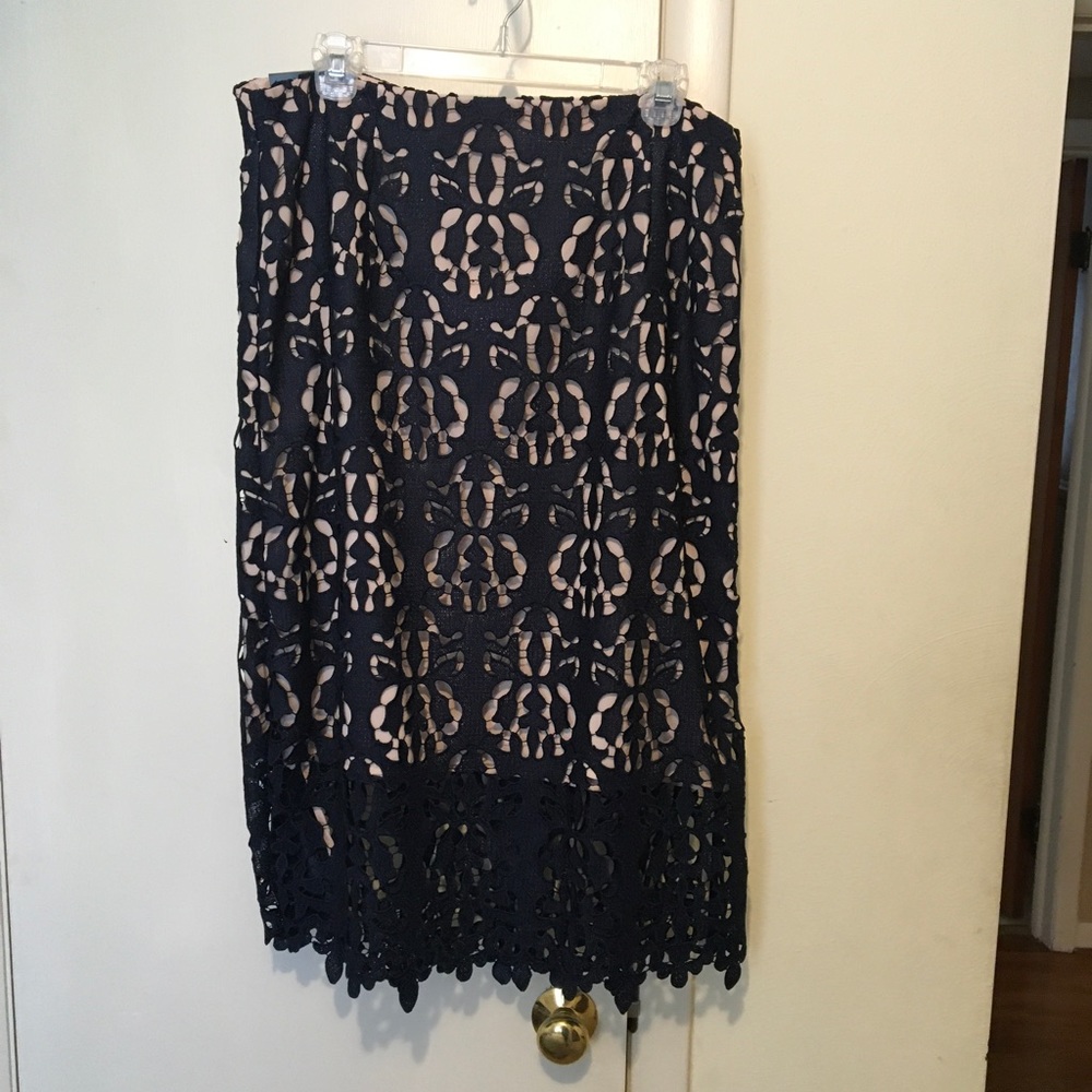Banana Republic Navy over Nude skirt. NWT